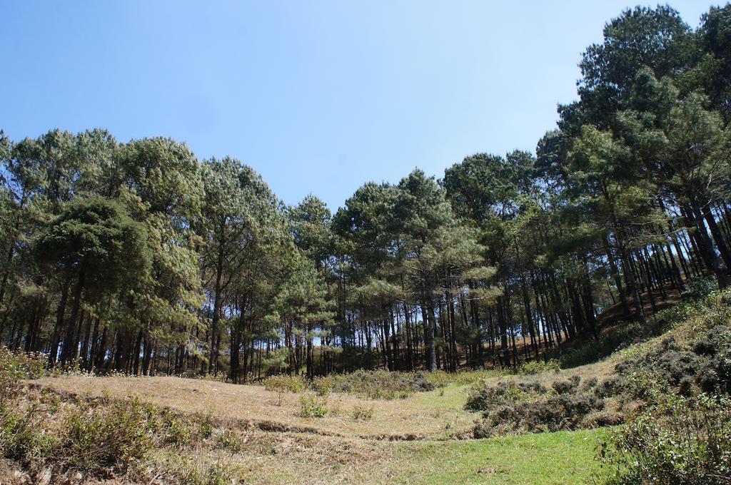 Hotel Mount Paradise Nagarkot Bagian luar foto